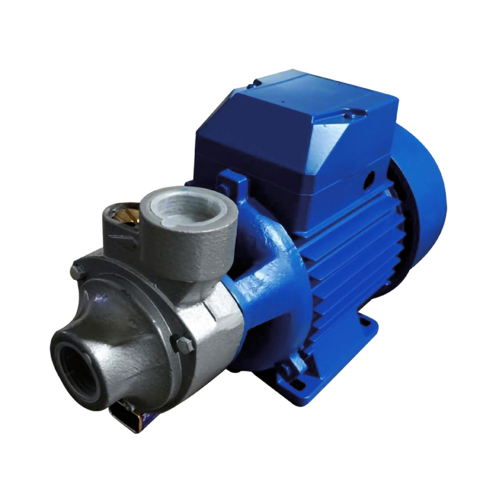 Electro Bomba 12 Hp Qb60 Fhe01