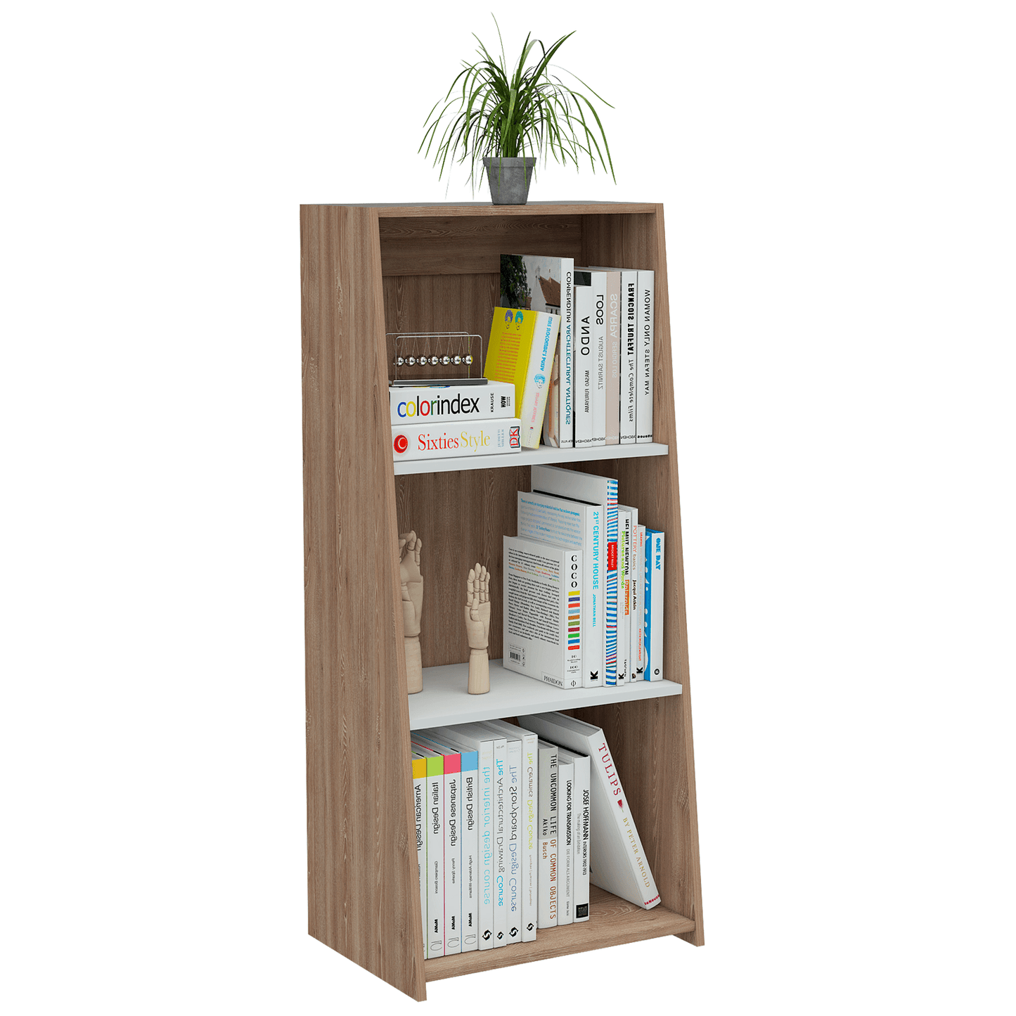 Biblioteca 120 Note Rta Miel + Blanco