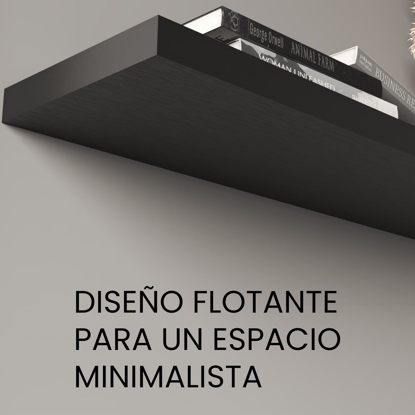 Repisa Flotante 120 X 25 Rta Wengue